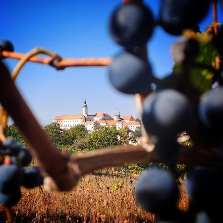 Pod Vinici Otel Mikulov Dış mekan fotoğraf