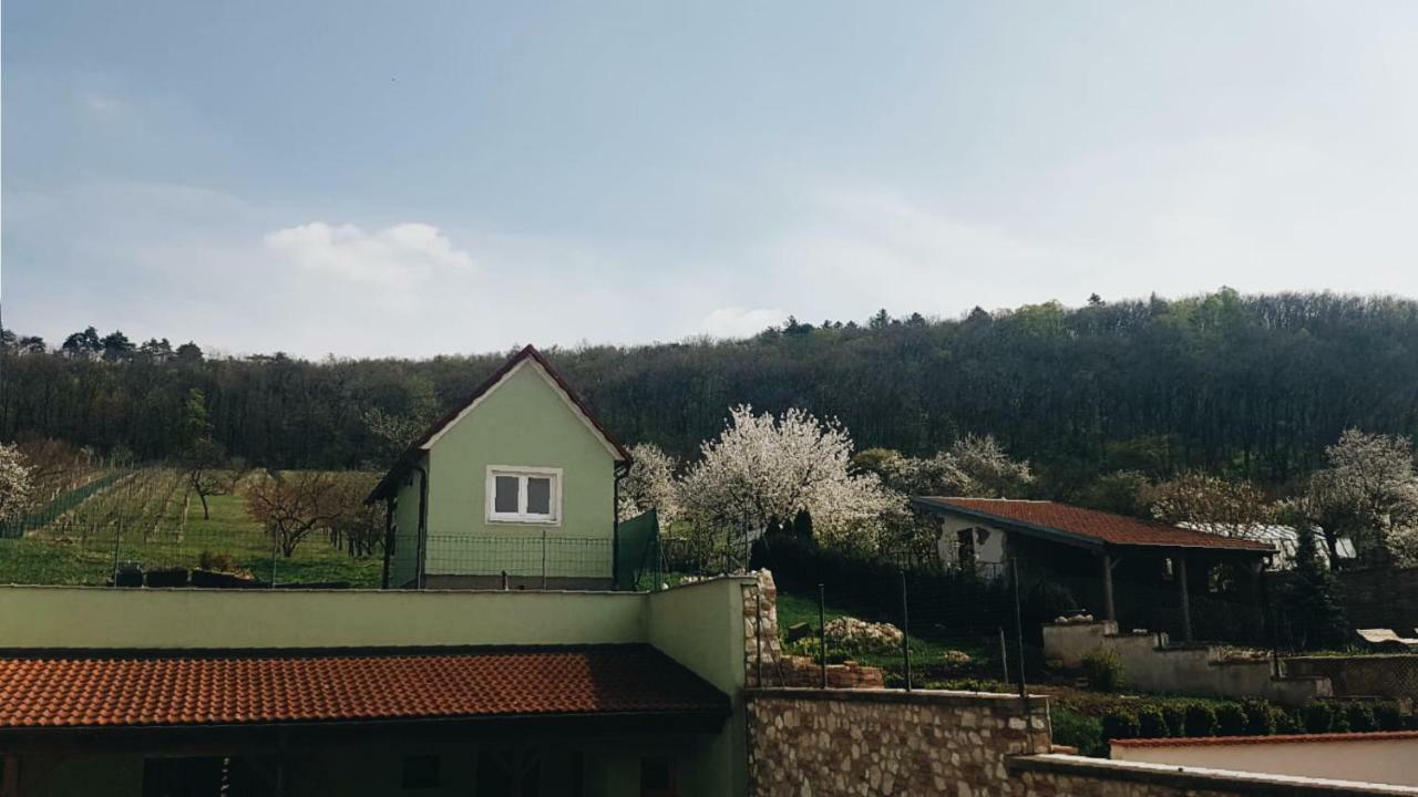 Pod Vinici Otel Mikulov Dış mekan fotoğraf